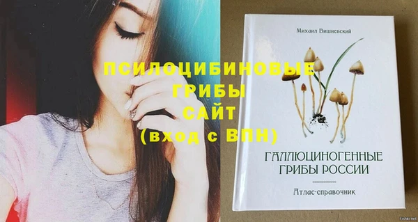 первитин Абаза