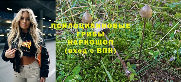 каннабис Алексеевка